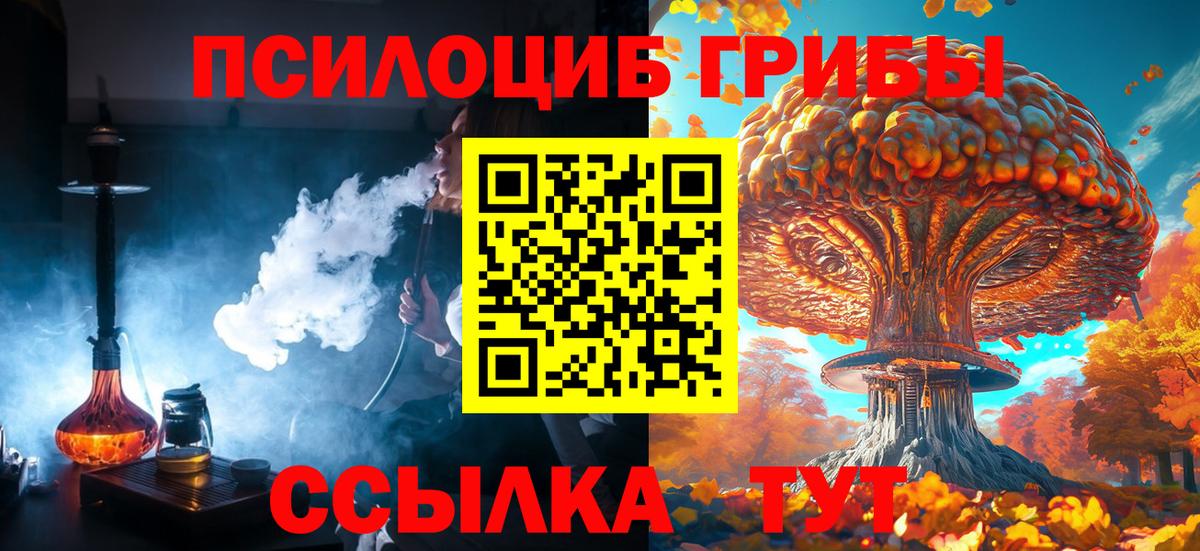 Элиста  Псилоцибиновые грибы мухоморы  Вход с VPN 