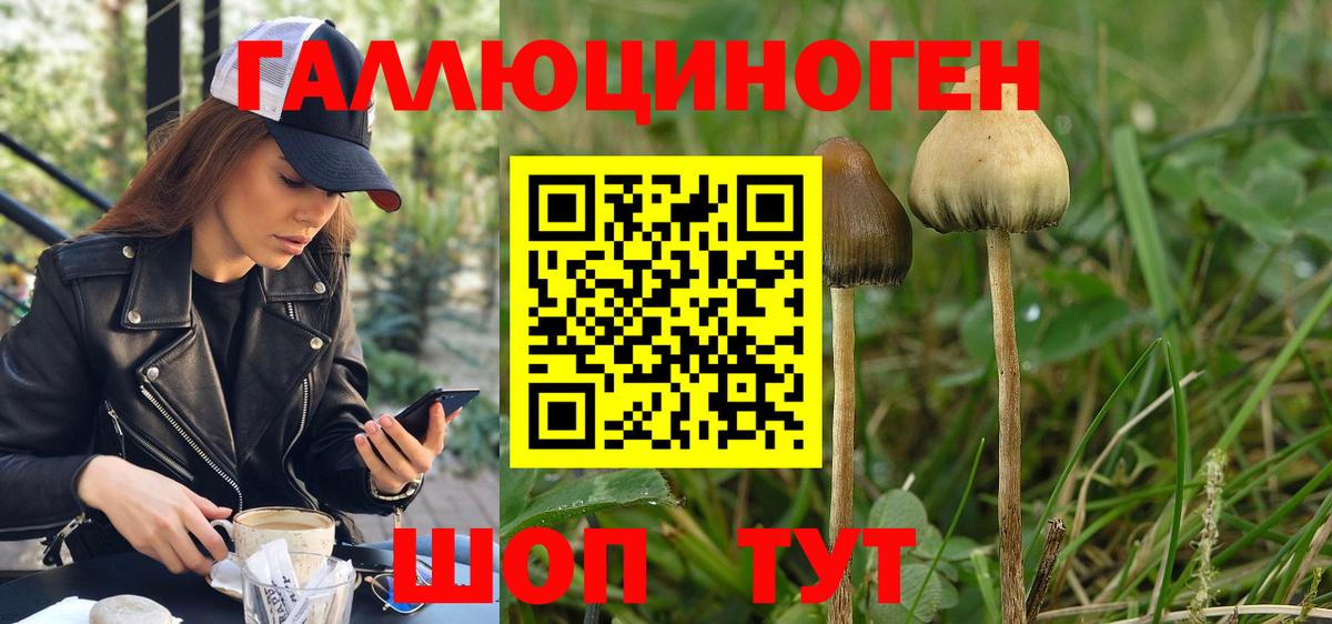 Галлюциногенные грибы мухоморы Элиста
