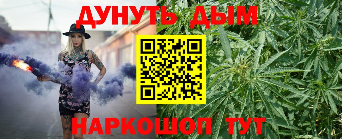 Каннабис гибрид Элиста